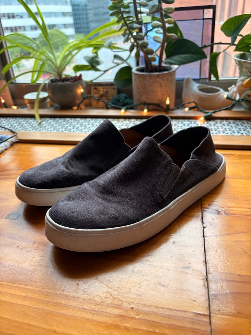 Steve Madden Feyna Slip Ons